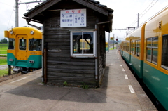 かぼちゃ君同士のすれ違い～♪