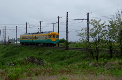 雨の日のかぼちゃ君～♪