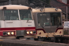 電車君好き！