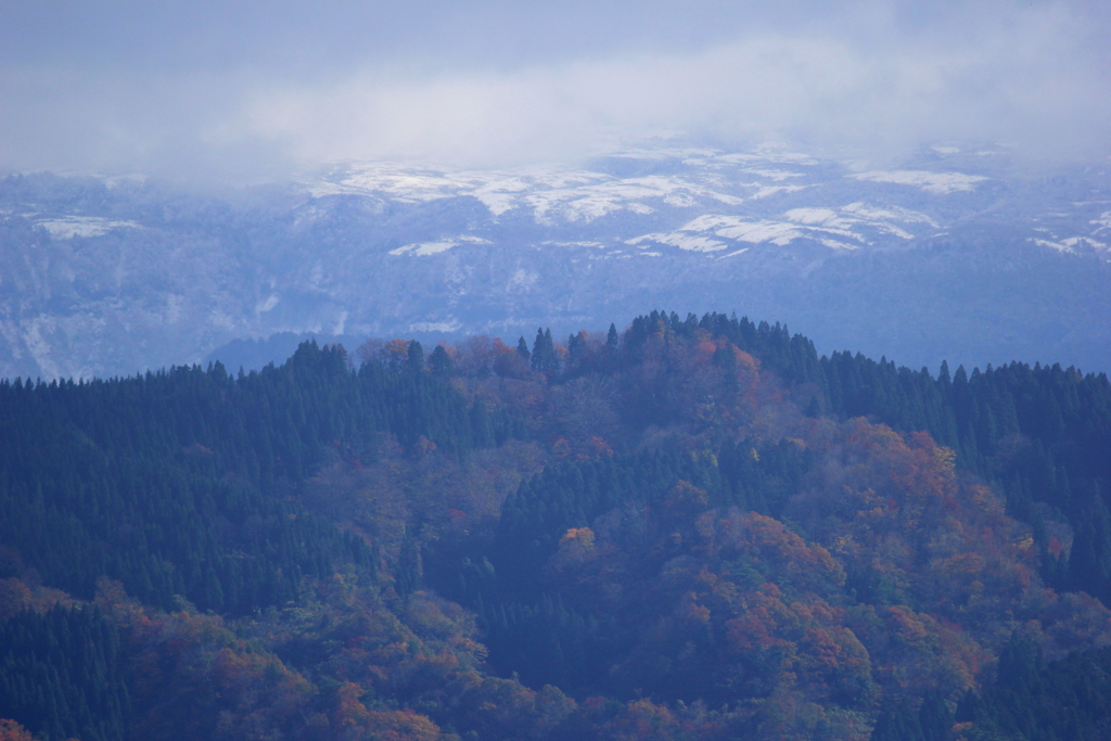 秋と冬が混在