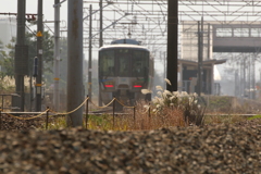 後ろ姿も好きな鉄子～♪（あいの風鉄道）