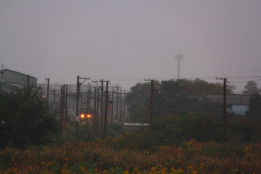 雨の電車