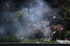 ばあちゃんの仕事