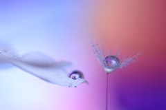 モーツアルトの曲は心地よく～♪