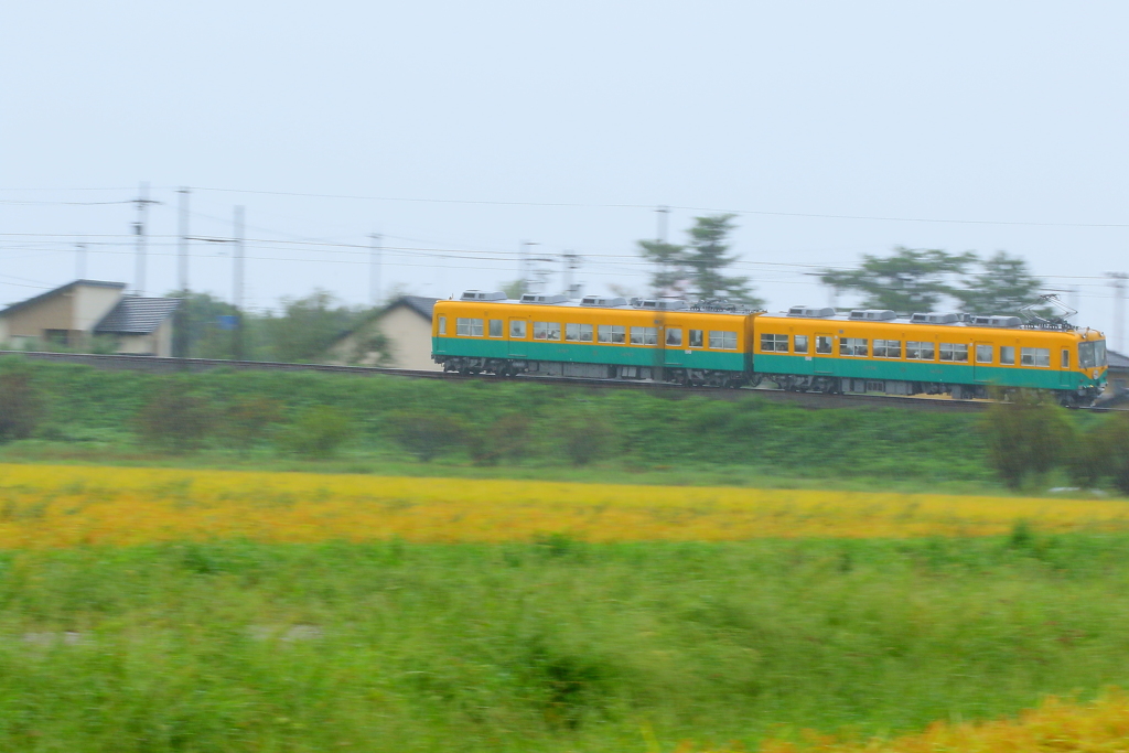 秋を走る、かぼちゃ電車君
