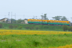 秋を走る、かぼちゃ電車君