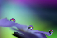 心海ＤＲＯＰＳ　70－2