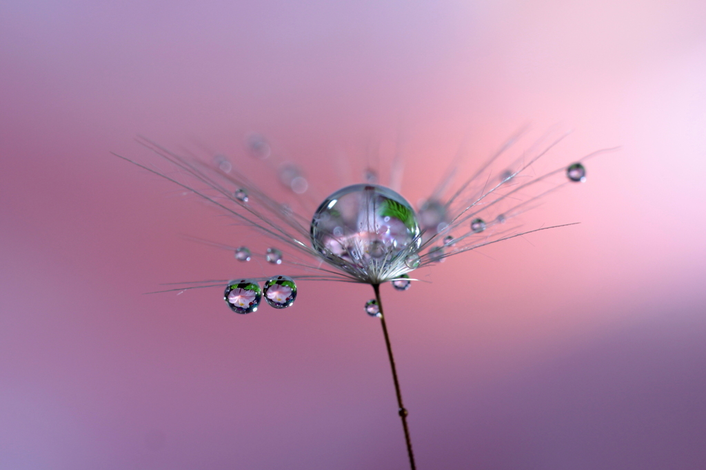 心海ＤＲＯＰＳ　74