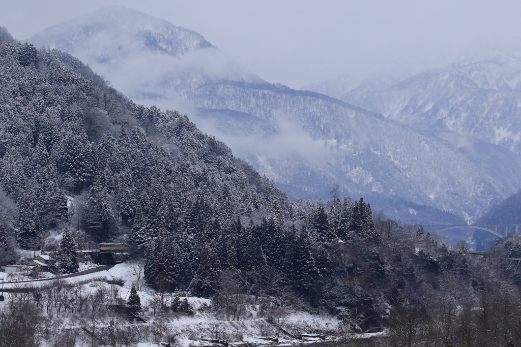 続、ダイコン電車を探せ～♪
