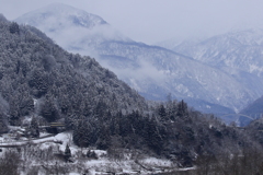 続、ダイコン電車を探せ～♪