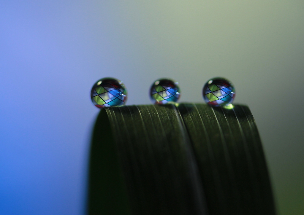 心海DROPS・・・ステンドグラス風に・・・