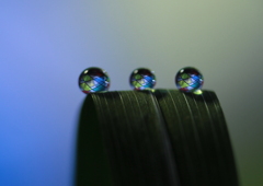 心海DROPS・・・ステンドグラス風に・・・