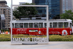 AMAZING TOYAMA