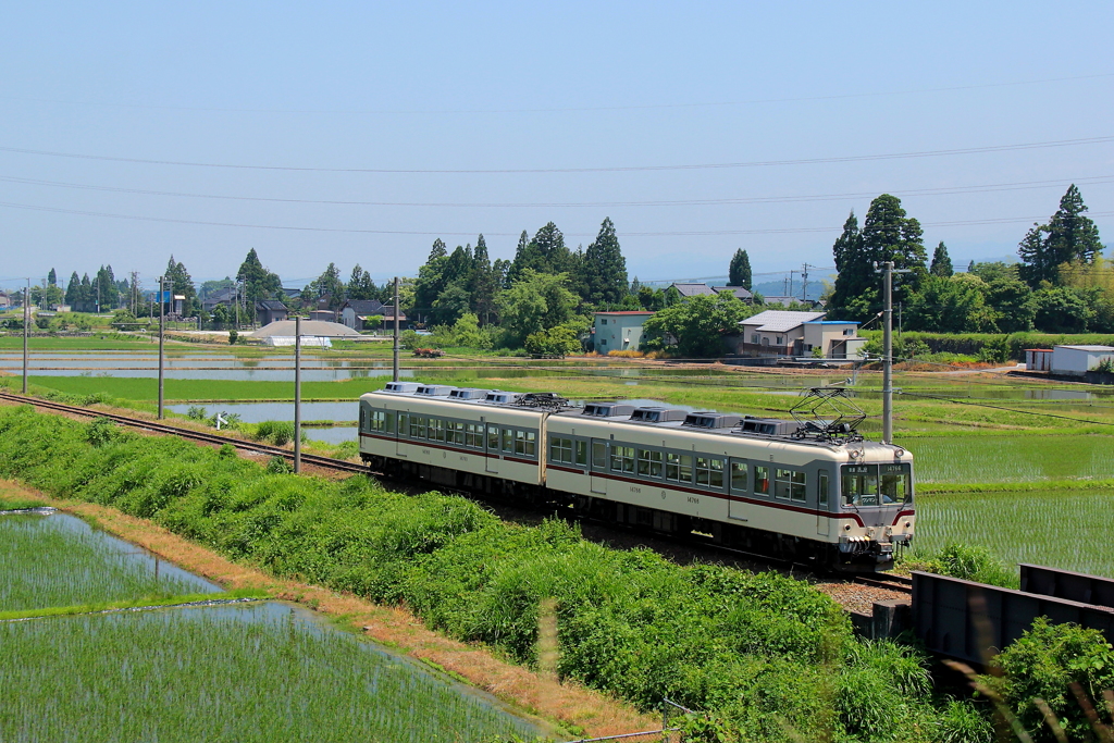 ダイコン電車、今日も走る