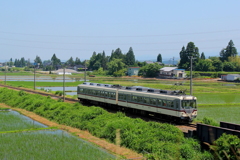 ダイコン電車、今日も走る