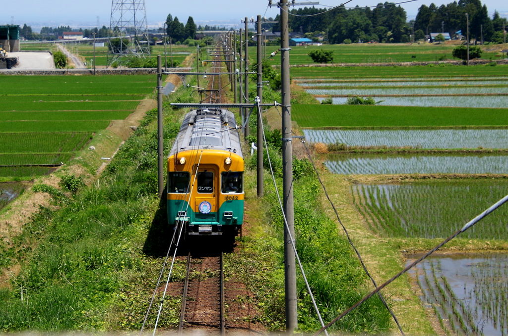 かぼちゃ君～