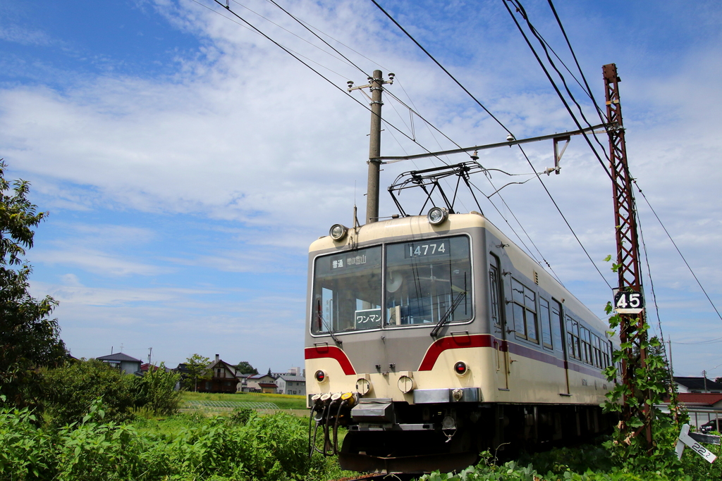 ダイコン君～♪