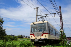 ダイコン君～♪
