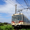 ダイコン君～♪