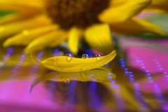 エスニックな小舟に揺られ