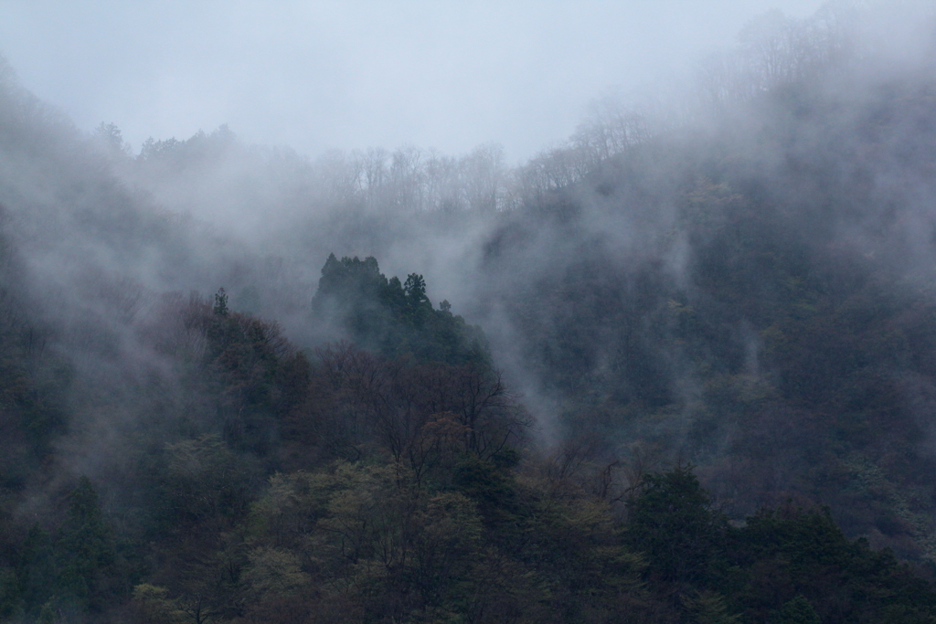 山は生きている