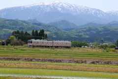 のどかなり・・・ステン君～♪