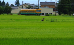 かぼちゃ君の仕事～農夫の仕事