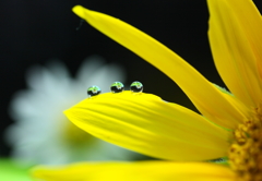 どうにも止まらない～♪