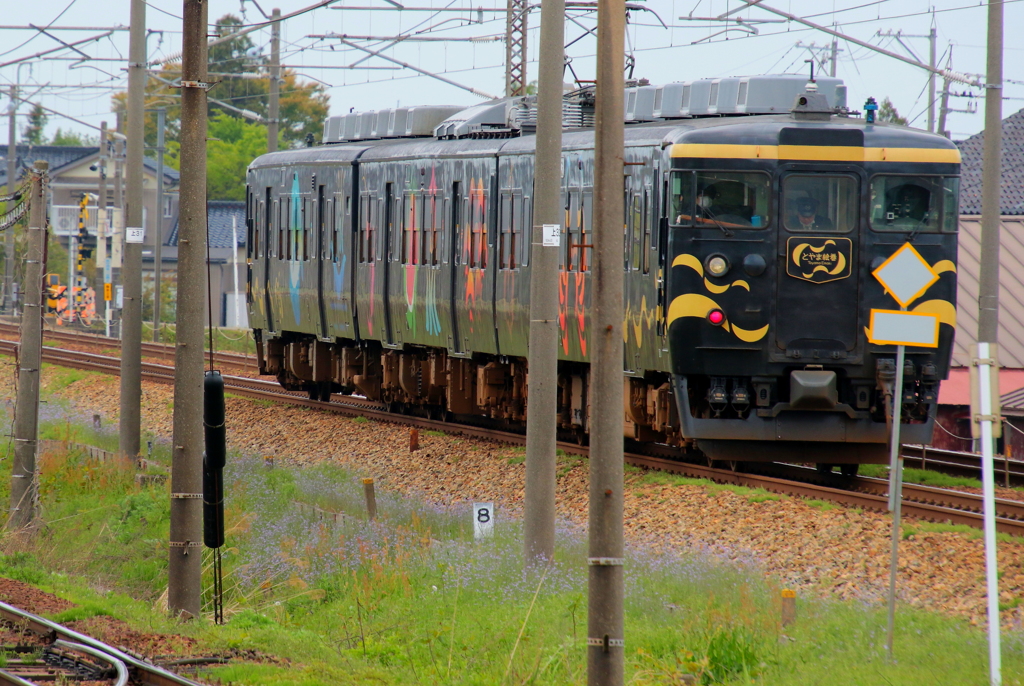 こっち向いて！　（観光列車）