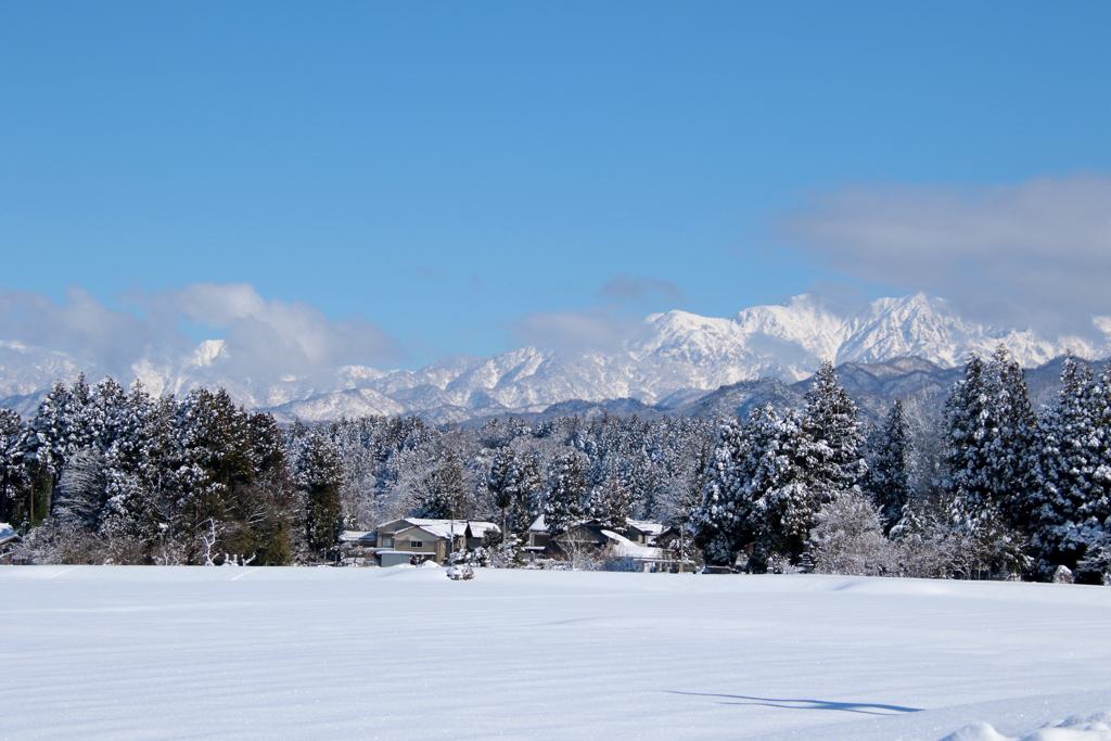 雪景色