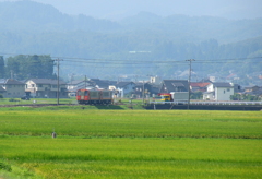稲穂が実り始めた・・・。