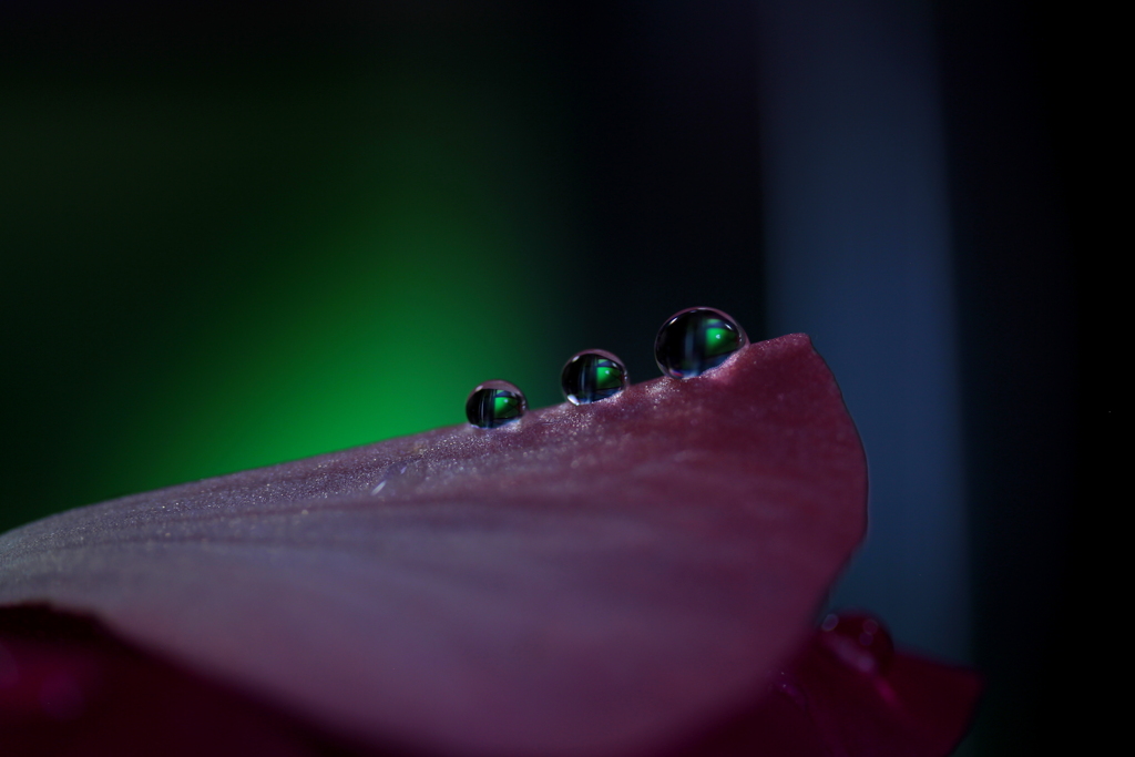 心海DROPS・・・〇〇〇