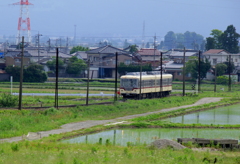 ダイコン君～♪