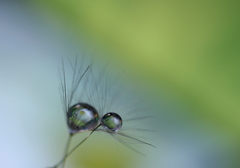 支え合いながら・・・