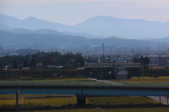 どこにでも現れる電車君