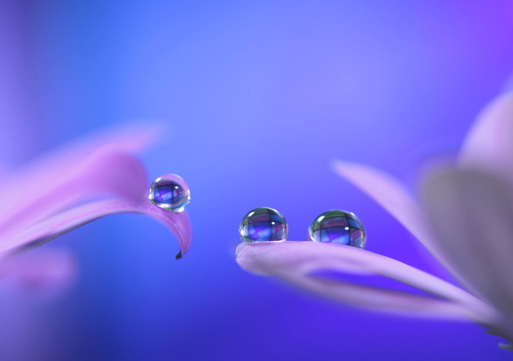 心海ＤＲＯＰＳ　113