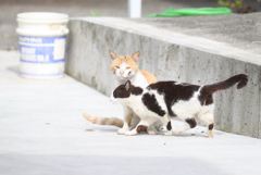 ねえ～！私だけを見てよ。(=^・^=)