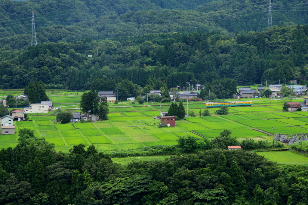 かぼちゃくん、山間の田園を走る~♪