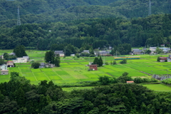 かぼちゃくん、山間の田園を走る~♪