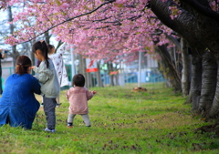 桜の木の下で・・・春だよ～♪