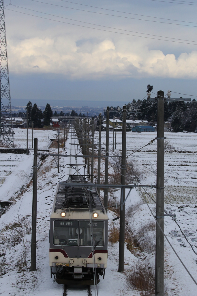 寒さもなんのその～走る電車君