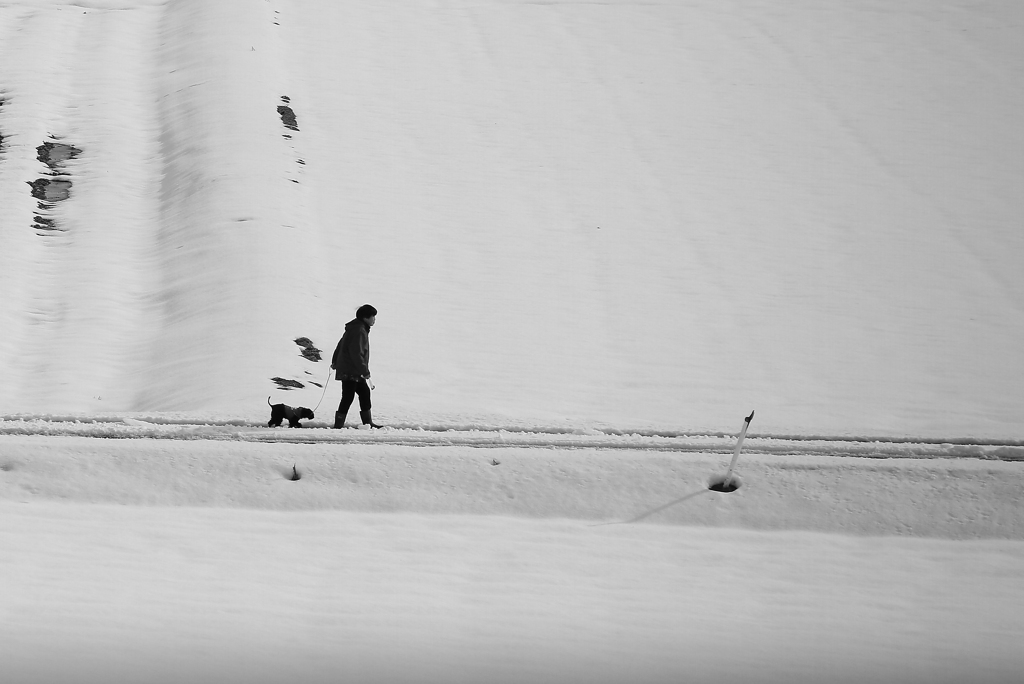 雪道の散歩