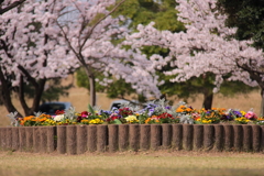 花々それぞれに咲き誇り