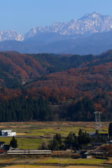 晩秋を走る