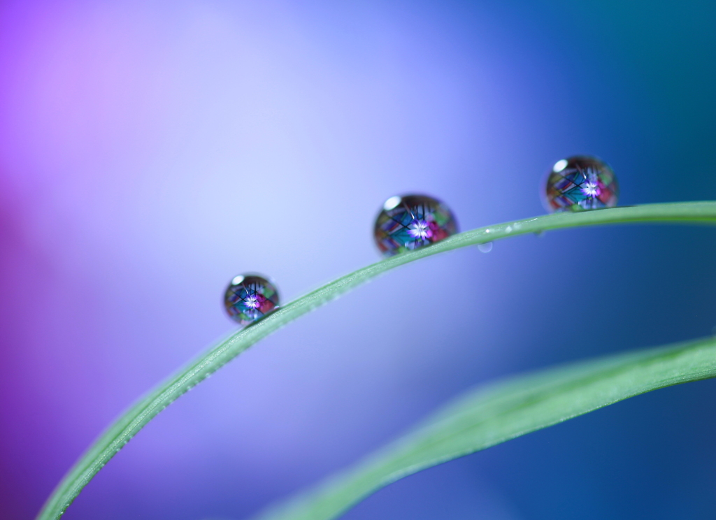 心海ＤＲＯＰＳ・・・☆