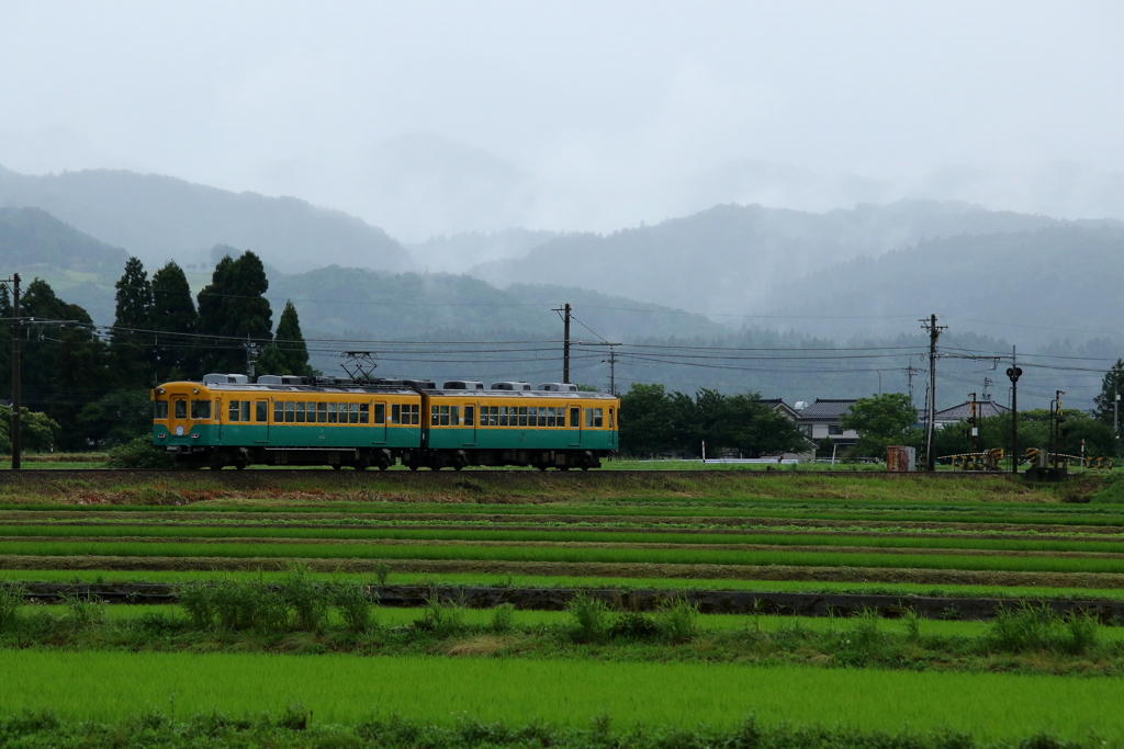 雨降る中のグリーン（カボチャ電車君♪）