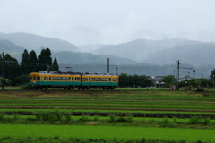 雨降る中のグリーン（カボチャ電車君♪）