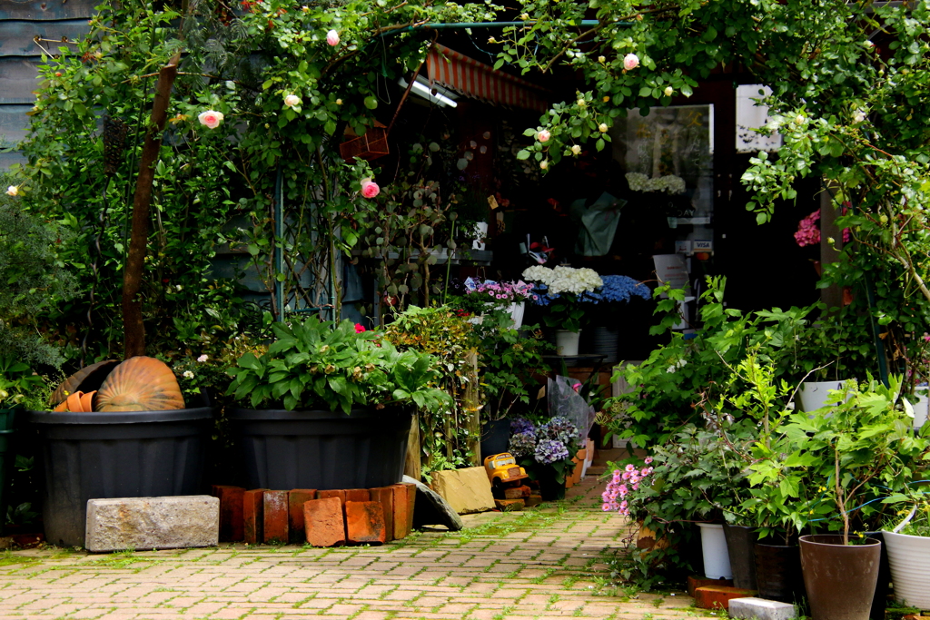 ある花屋の店先