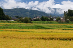 長雨に泣かされて