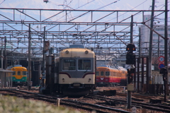 勢ぞろい、（みんなここにいたのね♪）